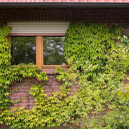Ferienwohnung Meinersen Bagian luar foto