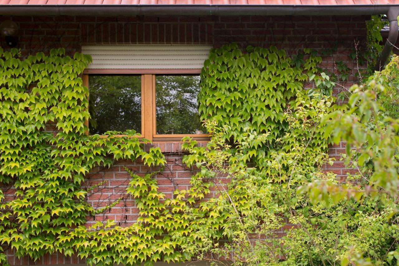 Ferienwohnung Meinersen Bagian luar foto